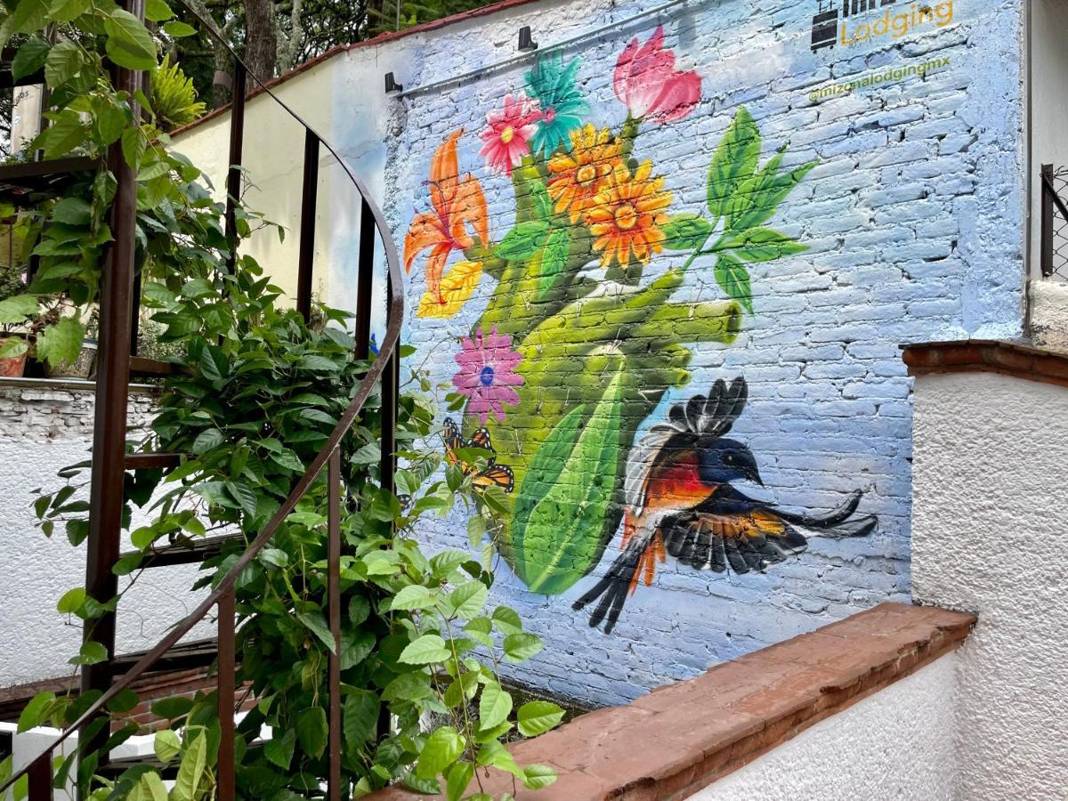 Mi Zona Lodging Coyoacan Mexiko-Stadt Exterior foto